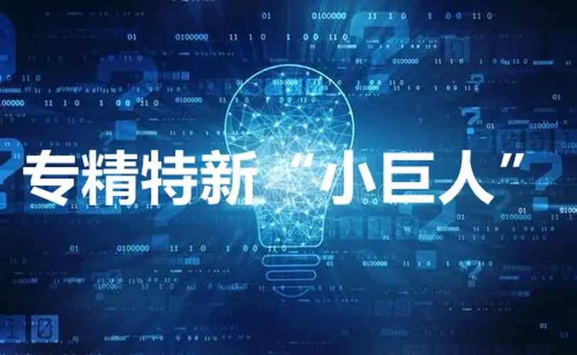 【詳細】專精特新企業(yè)申報流程、條件、領(lǐng)域